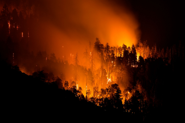 Un feu de forêt déclenché par la foudre dans la forêt nationale de Sequoia.