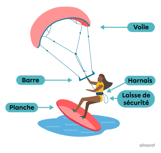 Une personne qui pratique la planche aérotractée à l’aide d’une planche, d’une barre, d’un harnais, d’une voile et d’une laisse de sécurité.