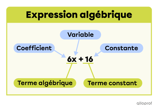 Une expression algébrique incluant un terme algébrique, composé d’un coefficient et d’une variable, et un terme constant.