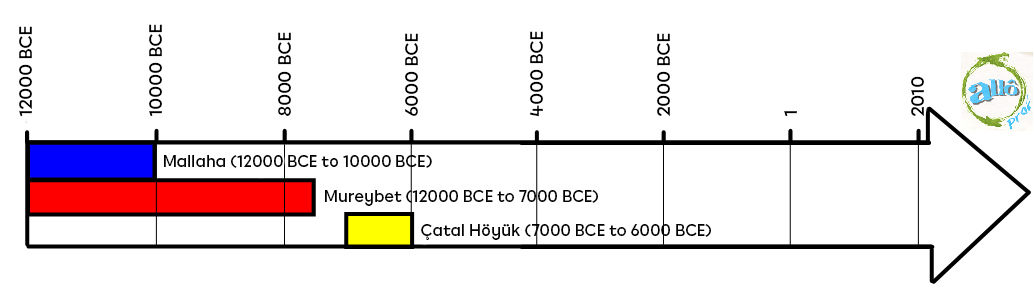 Timeline