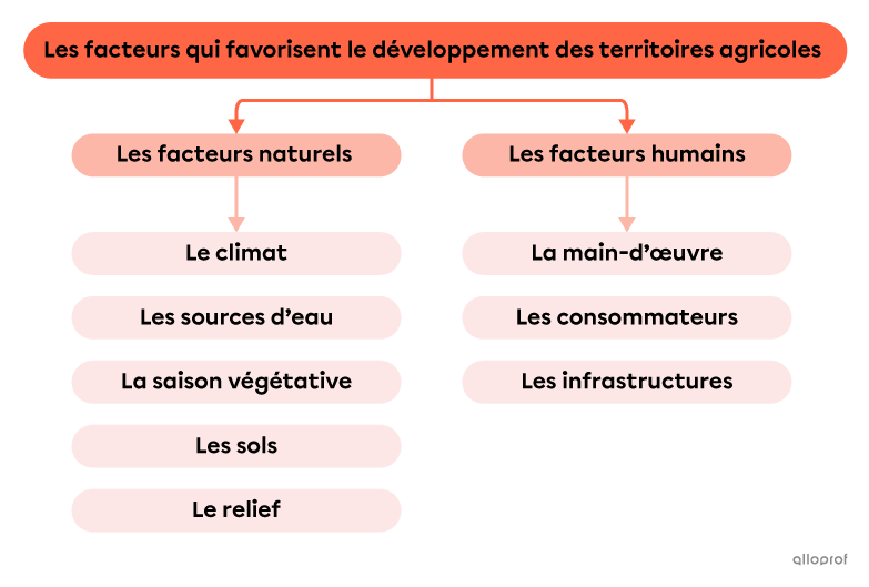 Schéma des facteurs favorisant le développement des territoires agricoles.