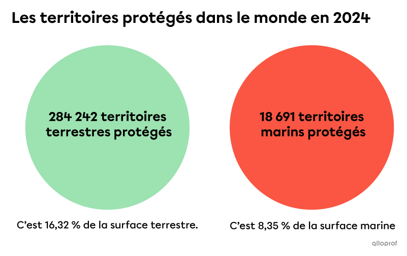 Statistiques sur les territoires protégés dans le monde en 2024.