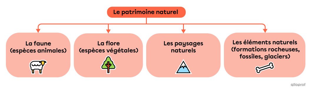 Le patrimoine naturel.