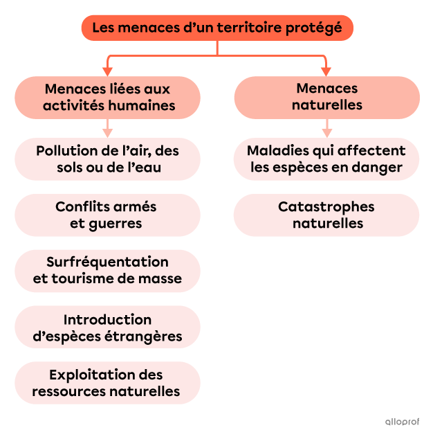 Les menaces d’un territoire protégé.