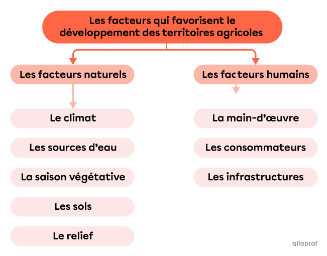 Schéma des facteurs favorisant le développement des territoires agricoles.