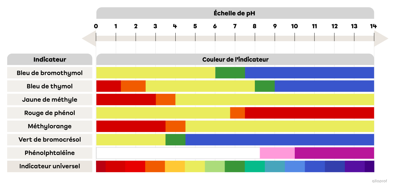 Le bleu de bromothymol, le bleu de thymol, le jaune de méthyle, le rouge de phénol, le méthyle orange, le vert de bromocrésol, la phénolphtaléine et l’indicateur universel sont des indicateurs acidobasiques. Les principales couleurs obtenues par les indicateurs acidobasiques sont le rouge, le orange, le jaune, le vert, le bleu, le rose et le fushia.