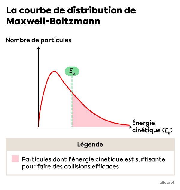 Un diagramme montrant la courbe de distribution de Maxwell-Boltzmann pour une réaction chimique où l’énergie d’activation est basse. L’image montre une grande zone colorée sous la courbe, ce qui indique qu’une grande proportion de particules possèdent suffisamment d’énergie cinétique pour faire des collisions efficaces.