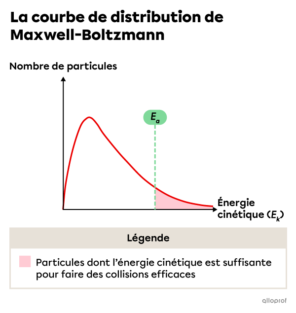 Un diagramme montrant la courbe de distribution de Maxwell-Boltzmann pour une réaction chimique où l’énergie d'activation est élevée. L’image montre une petite zone colorée sous la courbe, ce qui indique qu’une grande proportion de particules possèdent suffisamment d’énergie cinétique pour faire des collisions efficaces.