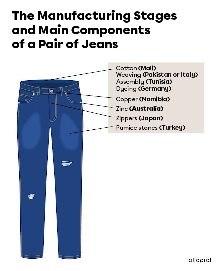 The manufacturing stages and main components of a pair of jeans.