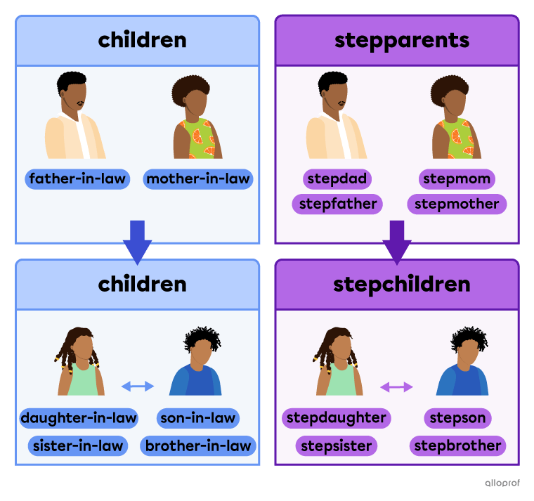 The in-law family and stepfamily vocabulary. The in-laws include the father-in-law, mother-in-law, daughter-in-law, son-in-law, sister-in-law and brother-in-law. The stepfamily is made of the stepparents: the stepfather and stepmother with their stepchildren: the stepdaughter, stepson, stepsister and stepbrother. 