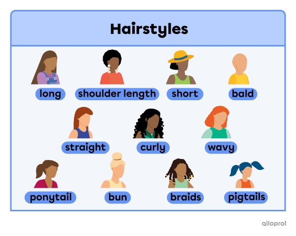 A comparison of 11 characters’ hairstyles. There is someone with long hair, short hair, shoulder length hair, no hair (bald), straight hair, curly hair, wavy hair, a ponytail, braids and pigtails.