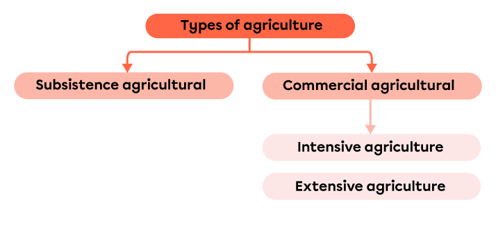 Diagram of the types of agriculture.