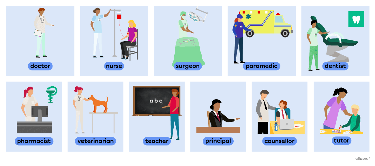 Vocabulary list of people working in health care and at schools that includes: a doctor, a nurse, a surgeon, a paramedic, a dentist, a pharmacist, a veterinarian, a teacher, a principal, a counsellor and a tutor.
