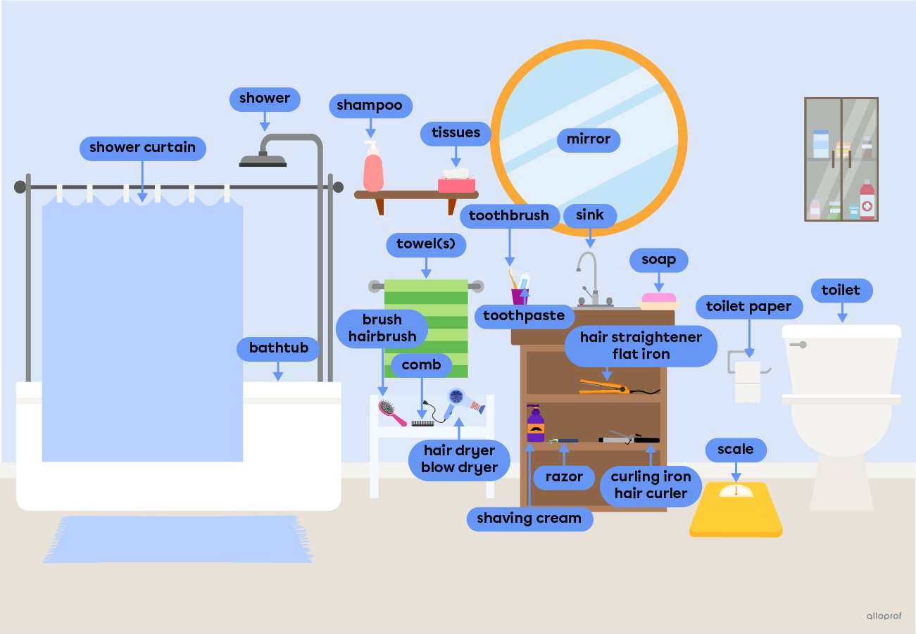 Bathroom objects, such as a bathtub, a mirror and a hairbrush.