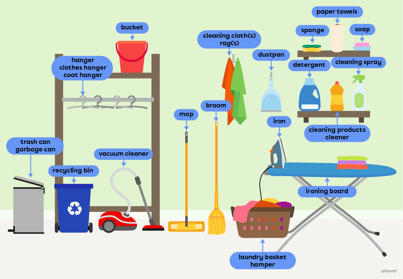 Cleaning supplies, such as detergent, paper towels and a vacuum cleaner.