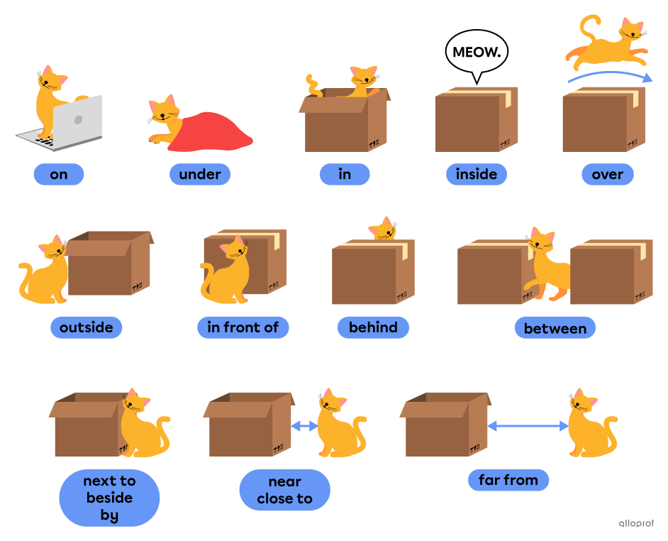 Position vocabulary using prepositions and expressions such as on, inside, far from and in front of.