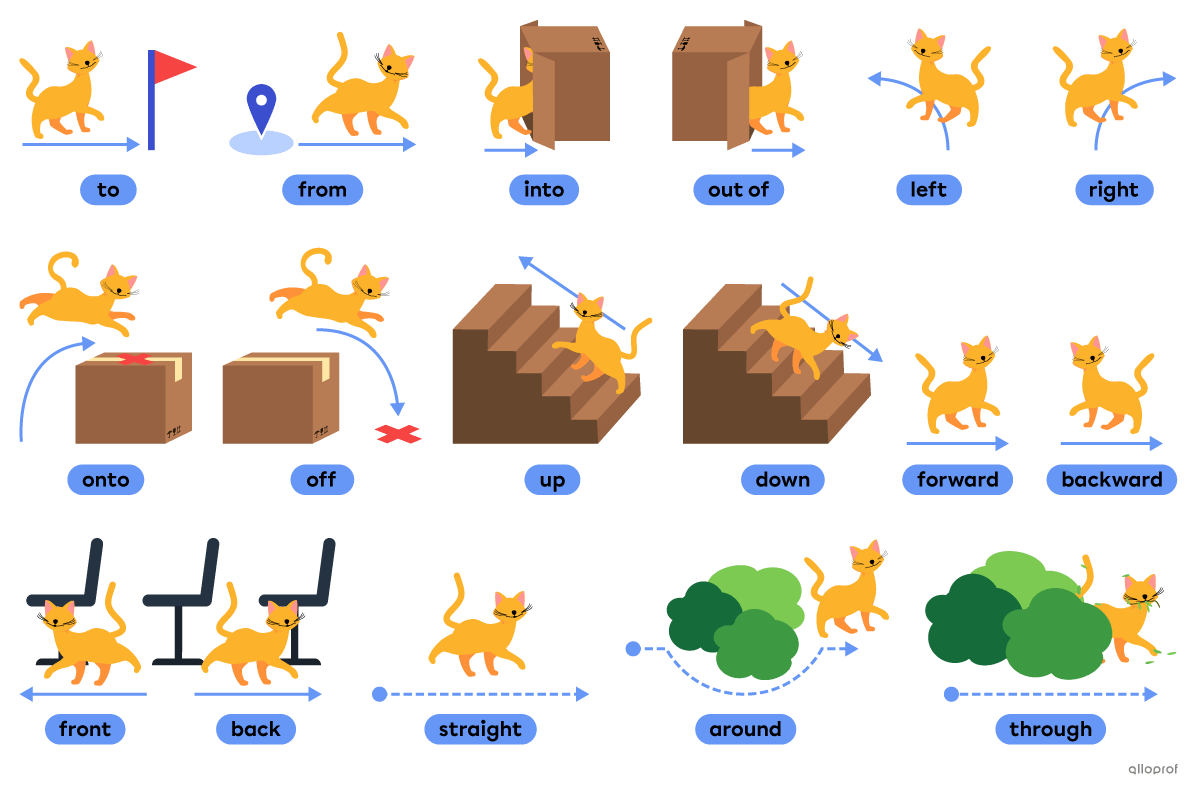 Basic direction vocabulary such as to, up, backward and through.