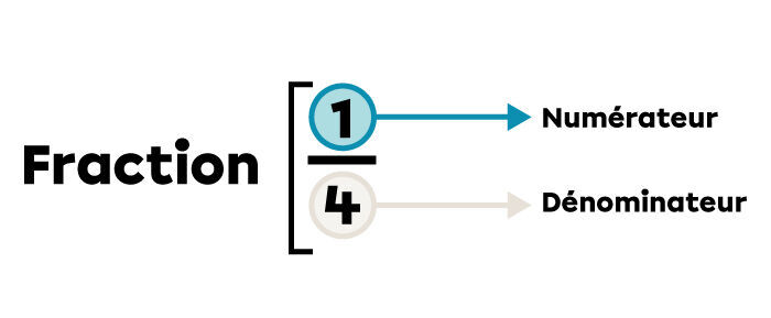 Les composantes d'une fraction. 