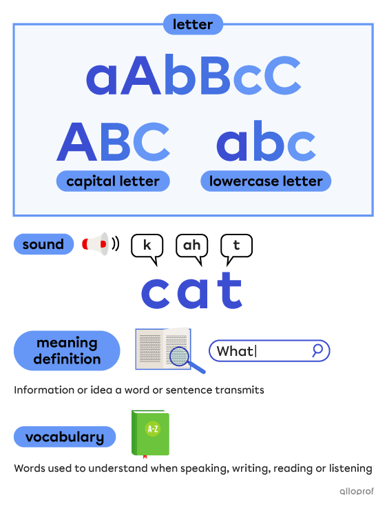 Word-related vocabulary such as letters, sound and definition.