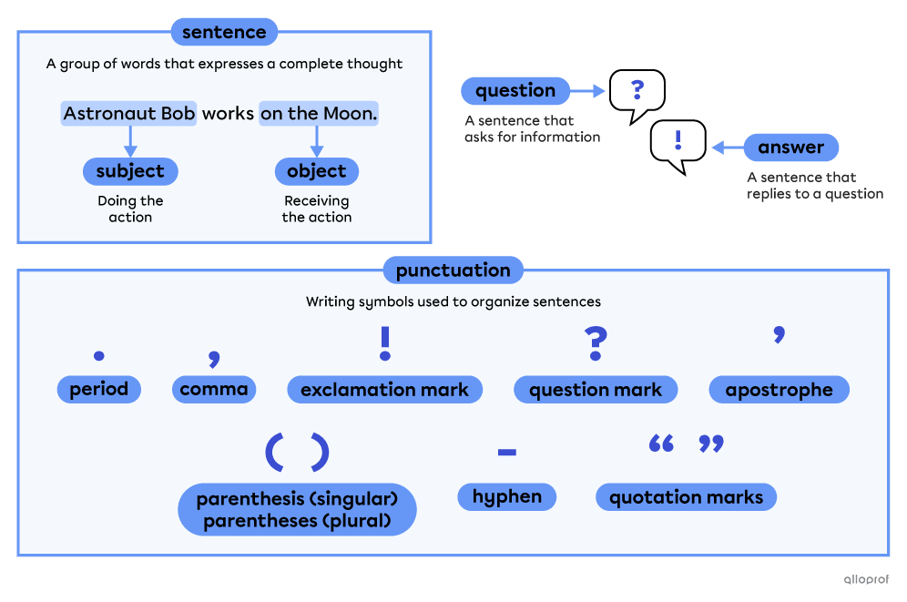 Sentence-related vocabulary such as subject, object and punctuation.