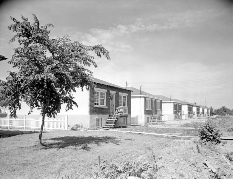 Row of newly built bungalows.