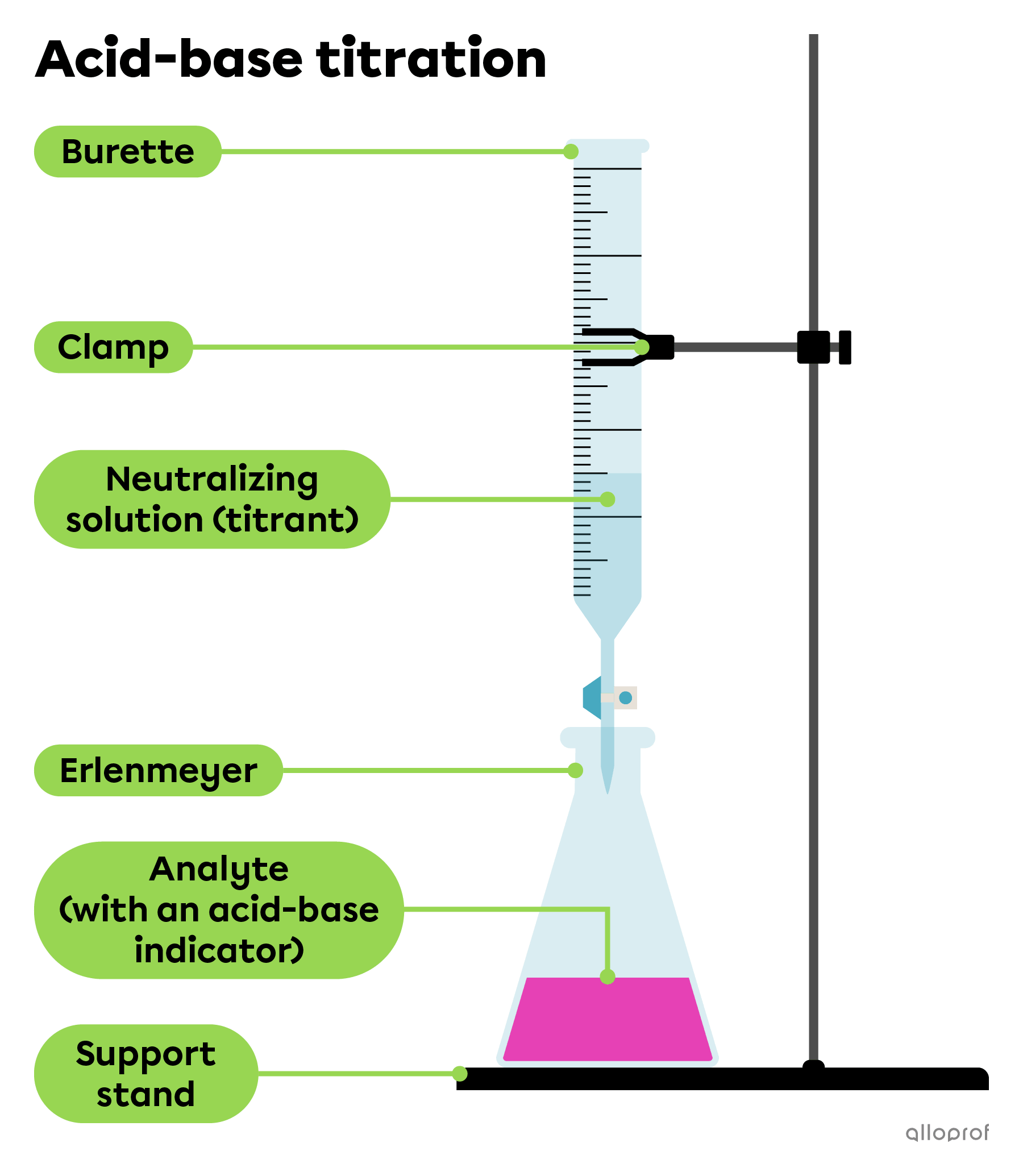 An acid-base titration can be done using apparatus like a burette containing a neutralizing solution (titrant), and an erlenmeyer flask containing the solution to be neutralized (analyte) mixed with an acid-base indicator.