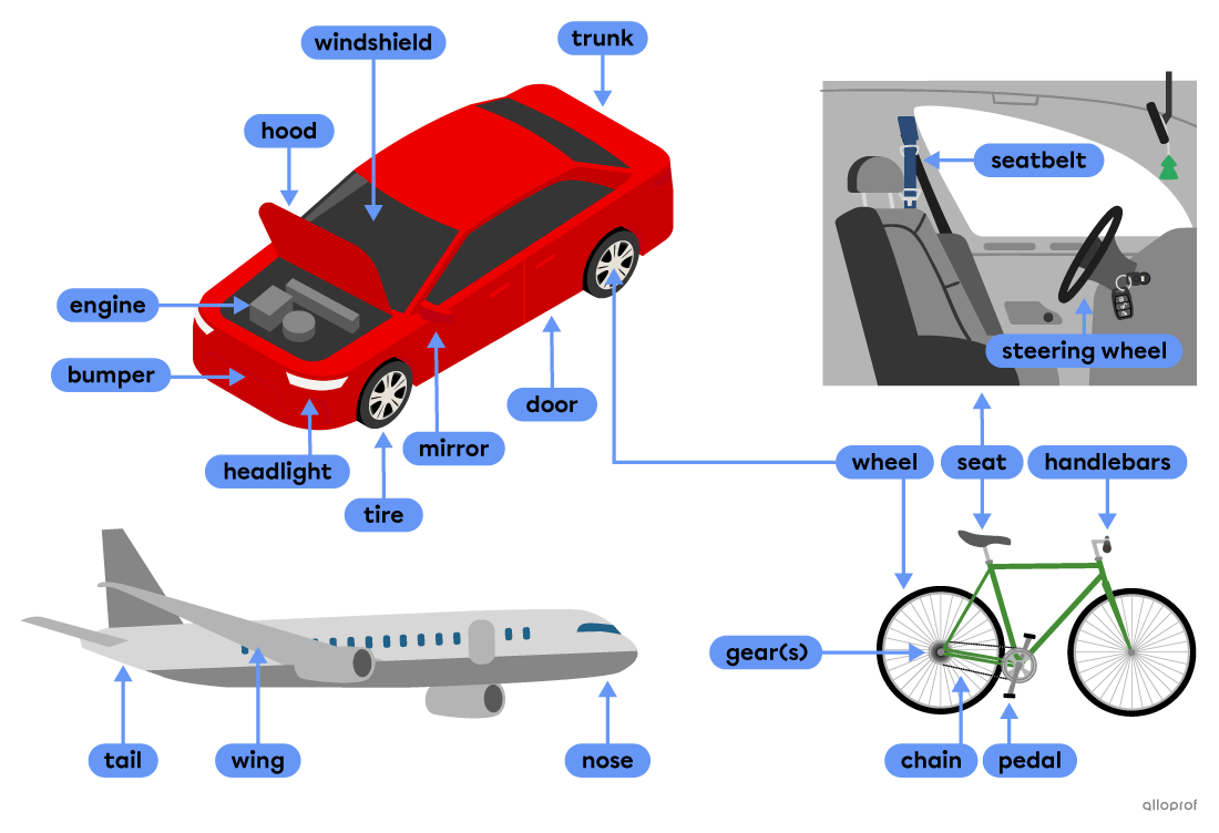 Parts of vehicles like the wheel, the seat and the steering wheel.