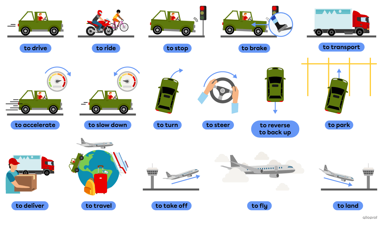 Transportation-related verbs like to drive, to transport and to fly.
