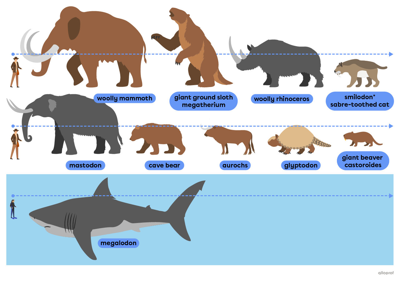 Prehistoric animals from after the dinosaur era such as the wooly mammoth, the smilodon and the megalodon.