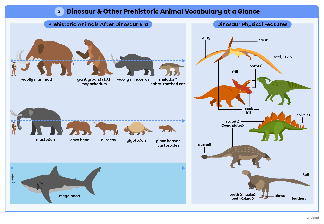 Vocabulary summary, page 2, prehistoric animals from after the dinosaur era and dinosaur physical features.