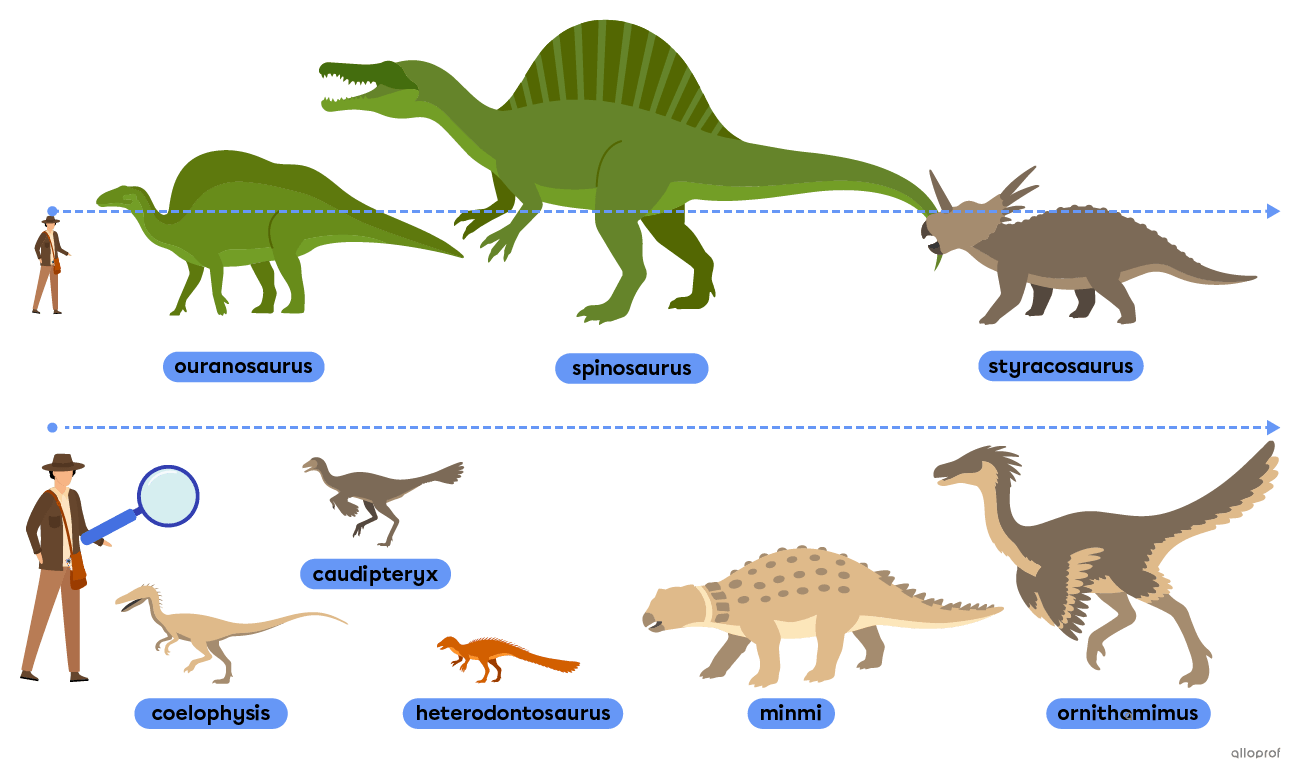 Dinosaurs such as the spinosaurus, the styracosaurus and the ornithomimus.