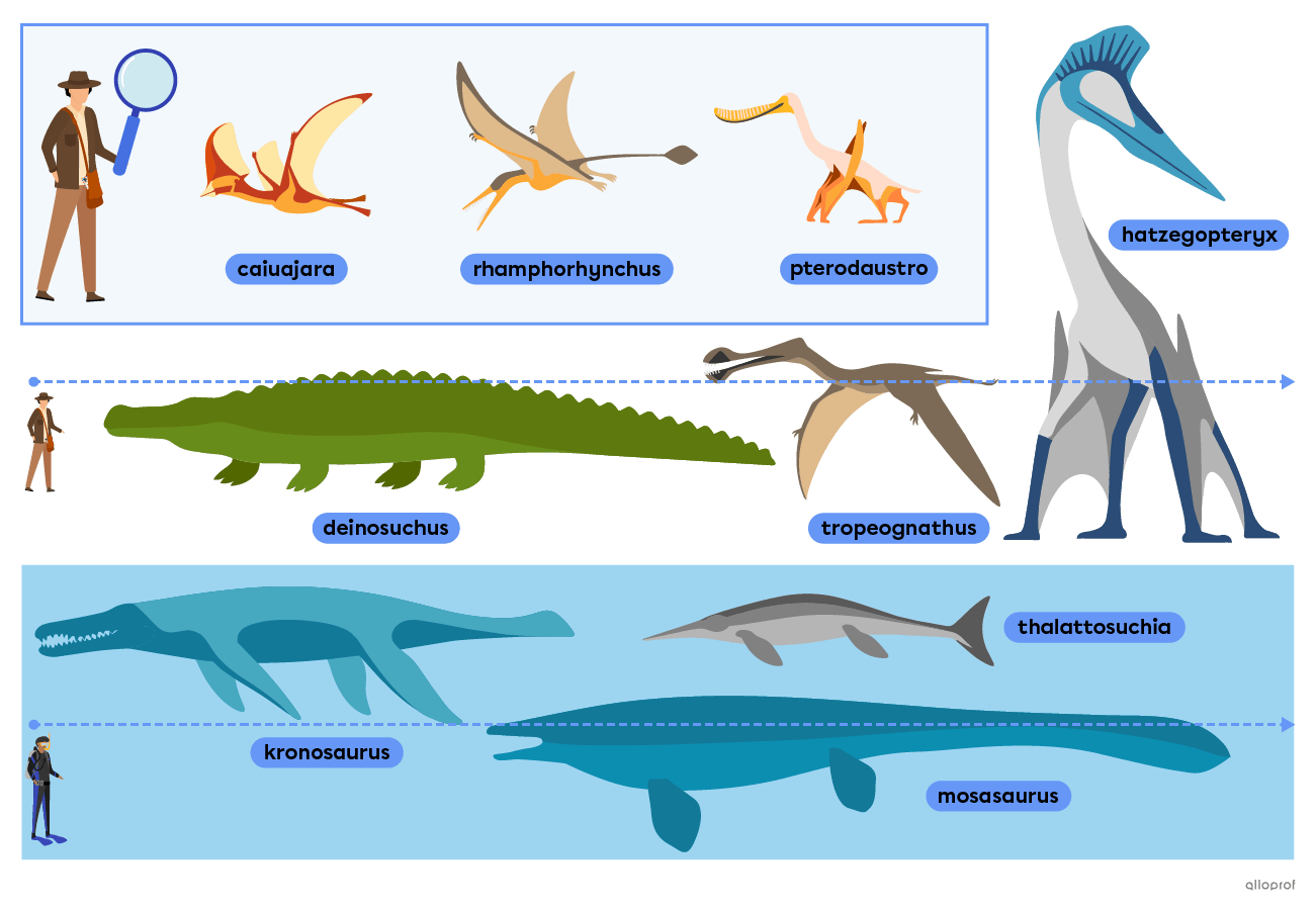Prehistoric flying and aquatic animals such as the tropeognathus, the mosasaurus and the caiuajara.