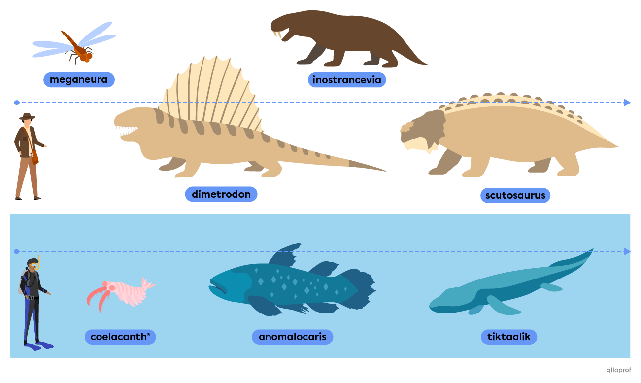 Prehistoric animals from before the dinosaur era, such as the dimetrodon, the meganeura and the anomalocaris.
