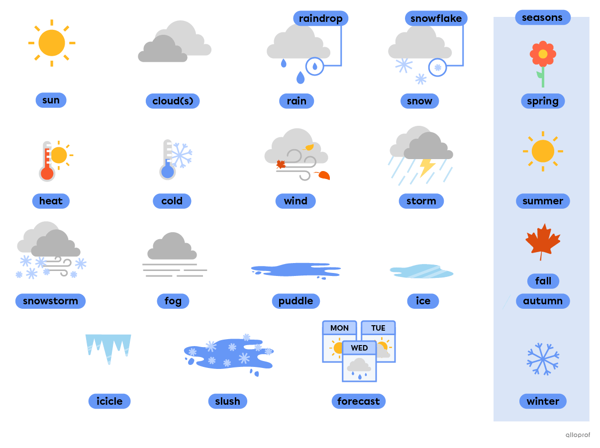 Weather vocabulary such as sun, cloud and rain.