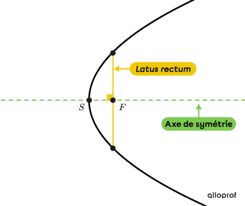 La Parabole (conique) | Secondaire | Alloprof