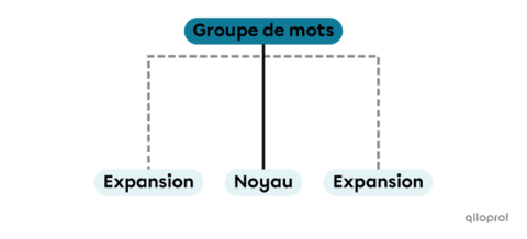 Les groupes de mots | Secondaire | Alloprof
