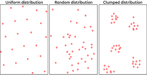 Population Size and Distribution | Secondaire | Alloprof