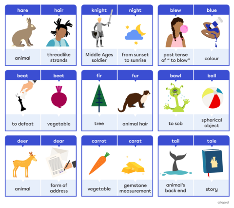 Homophones | Alloprof
