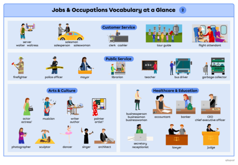 Jobs & Occupations – Vocabulary | Primaire | Alloprof