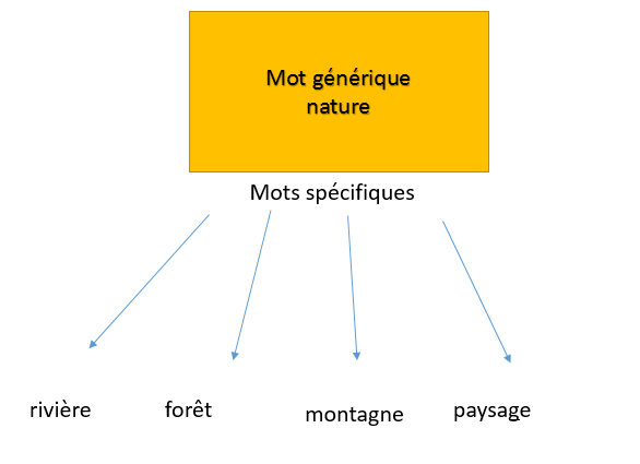 Les mots génériques et les mots spécifiques | Alloprof