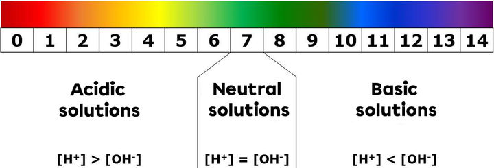 Identifying the Acid-Base Nature of a Substance | Secondaire | Alloprof
