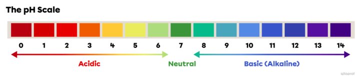The pH Scale and Acid-Base Indicators | Secondaire | Alloprof