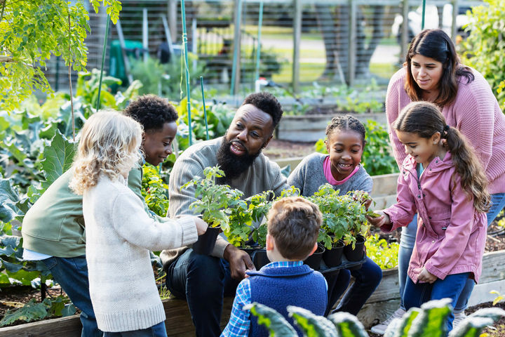 5 activités éducatives d’Alloprof pour célébrer le printemps avec sa classe