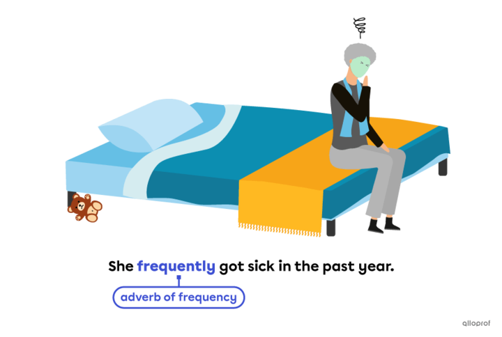 Adverbs of Frequency | Secondaire | Alloprof