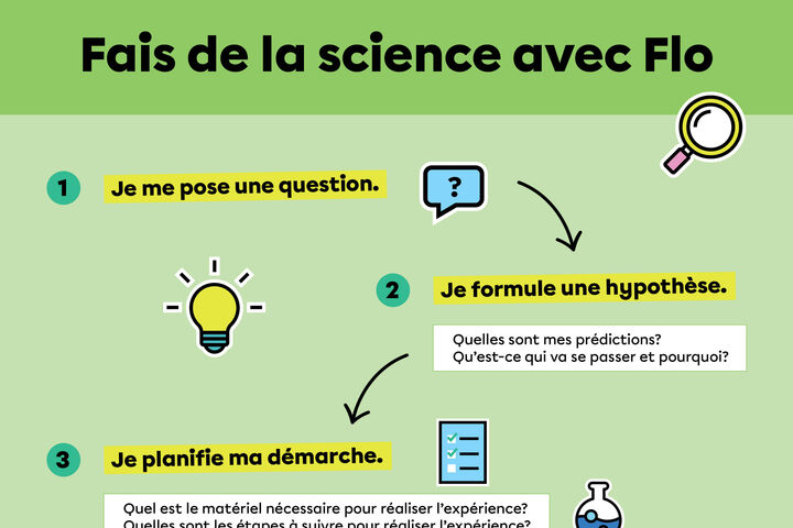 Affiches : les étapes de la démarche scientifique