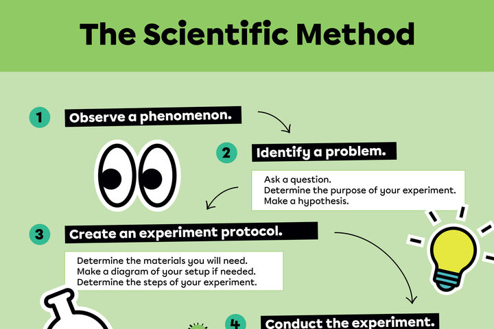 Posters outlining the steps of the scientific method