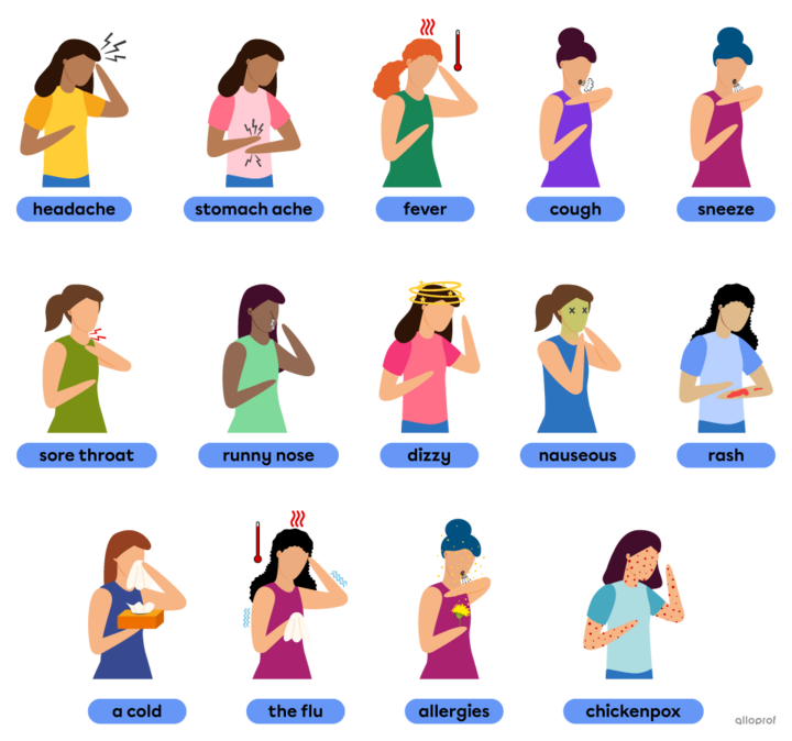 Health & Well-Being – Vocabulary | Alloprof