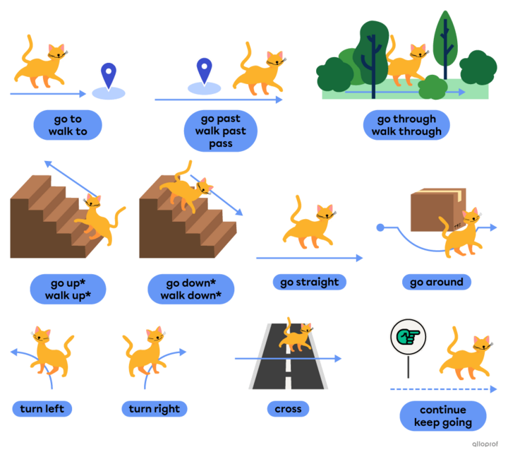 What Is the Vocabulary for Position & Directions? | Grades 3-6 | Alloprof