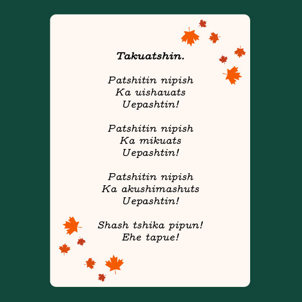 ashineu-nikamuniss