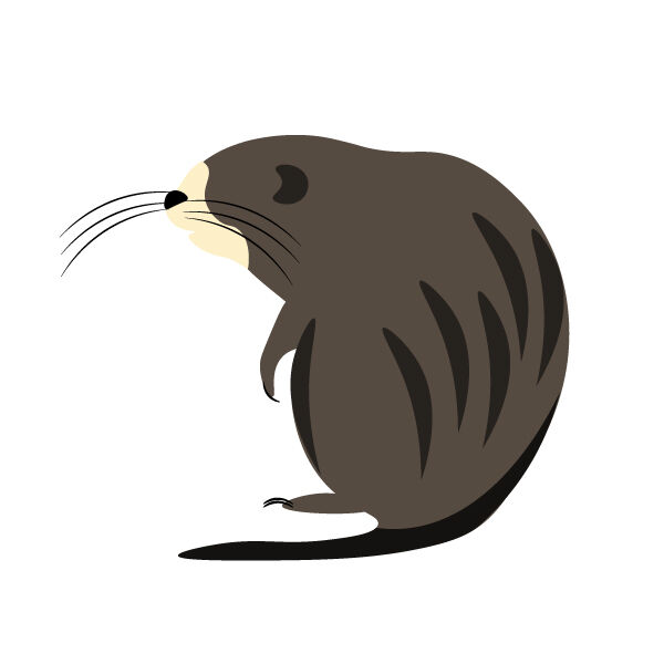 utshishku